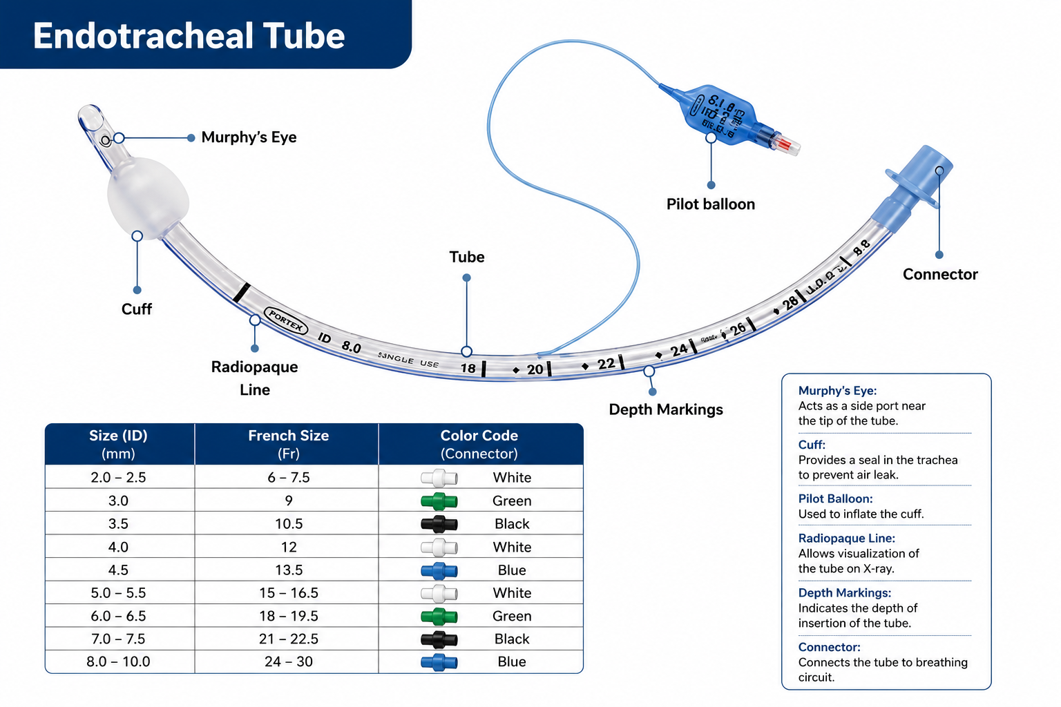 Endotracheal Tube ( ET Tube)