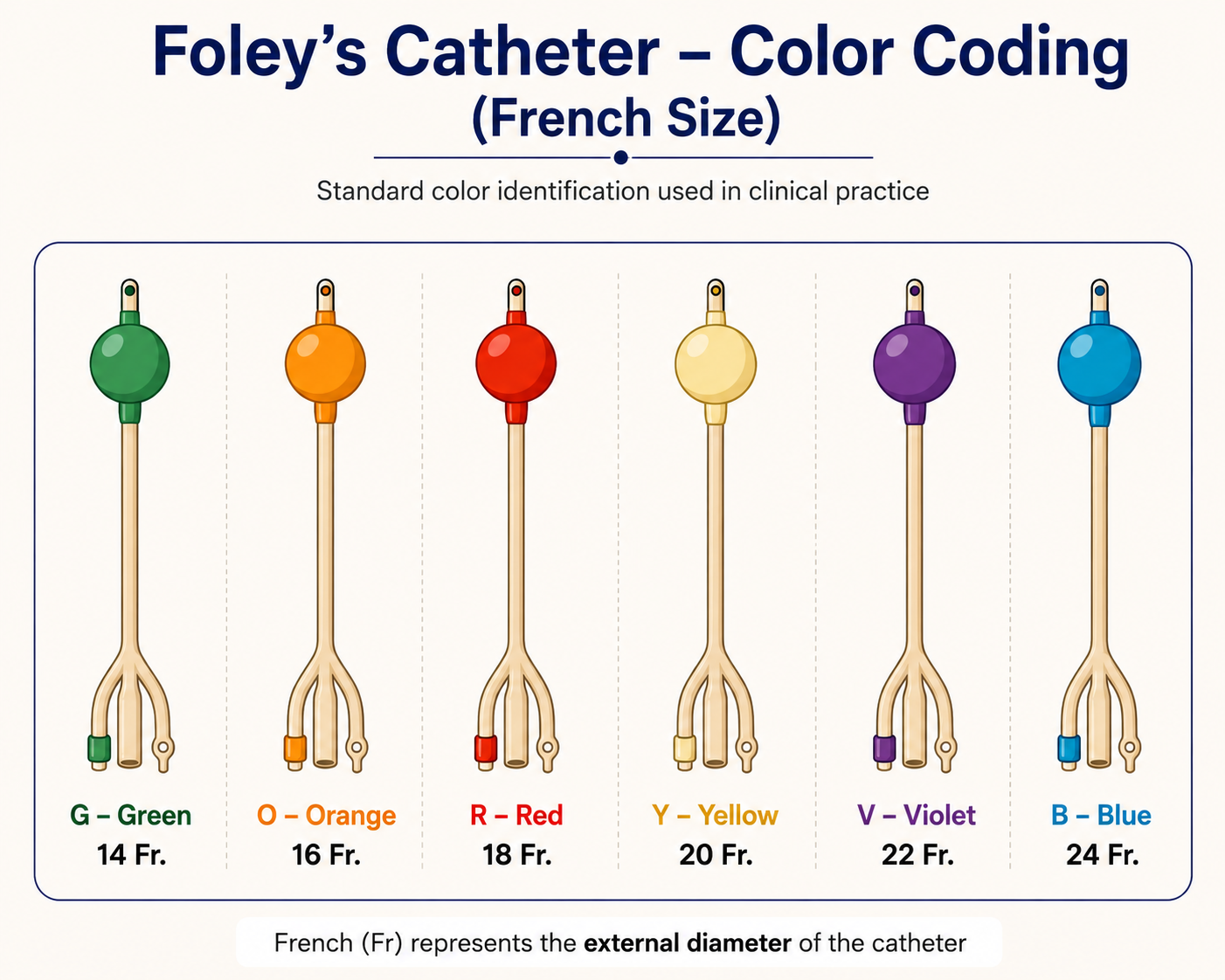 Urine Catheter ( Foly’s Catheter)